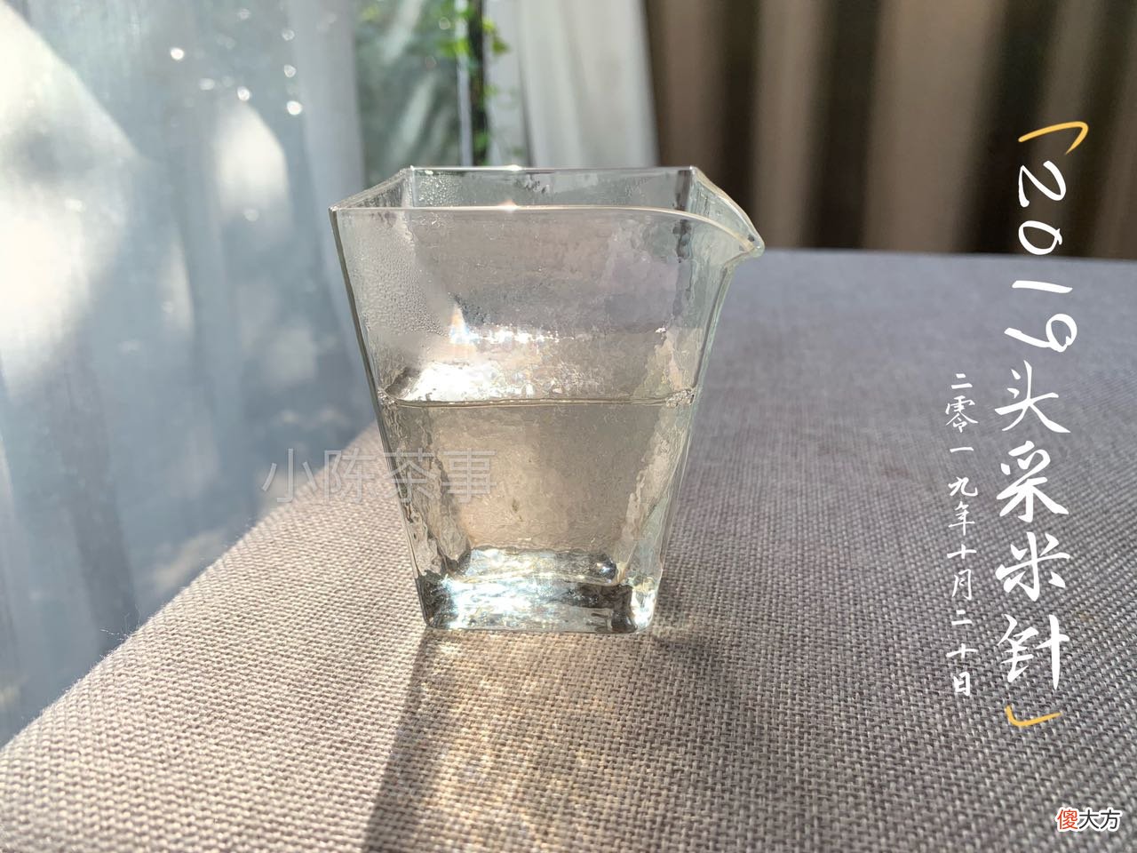 哪种温度泡的白茶好喝 白茶适合多少度