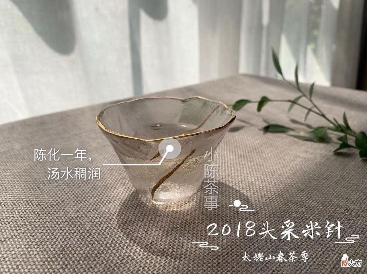 哪种温度泡的白茶好喝 白茶适合多少度