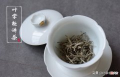 福建白茶你了解多少 福建白茶种类