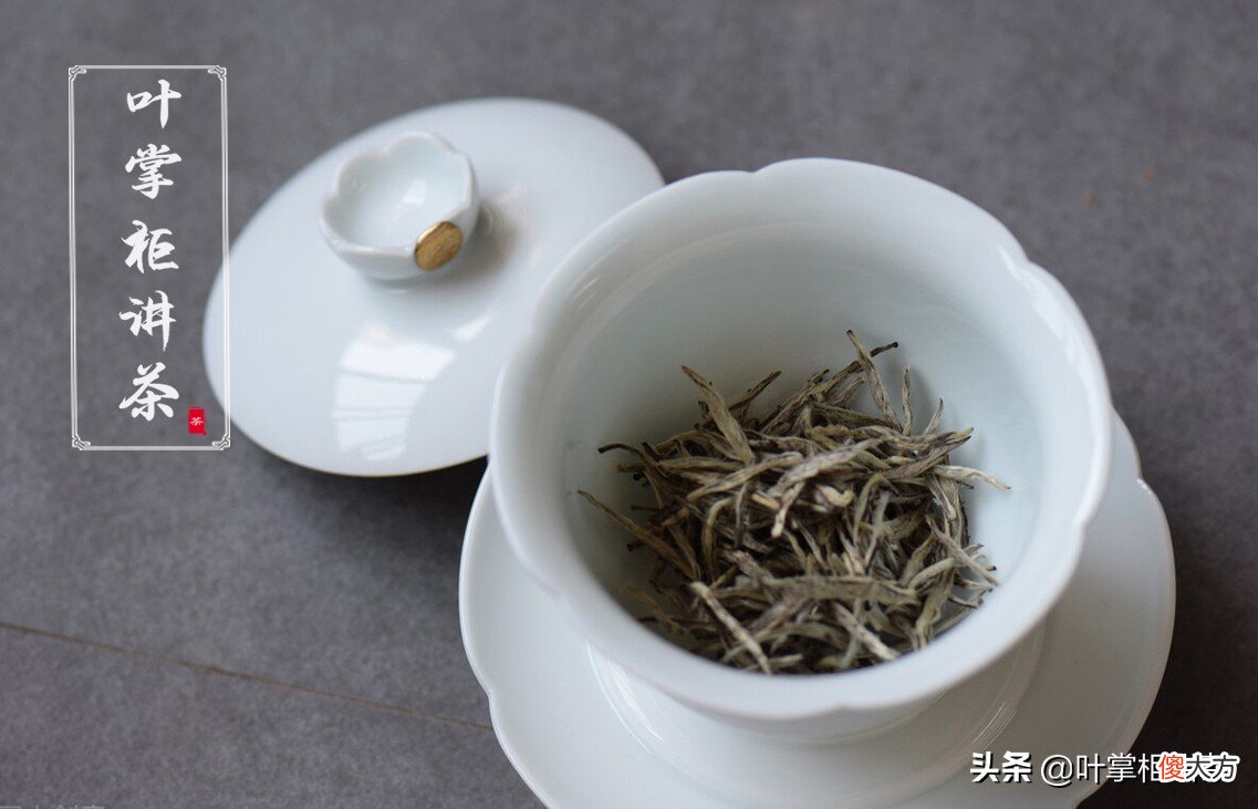 福建白茶你了解多少 福建白茶种类