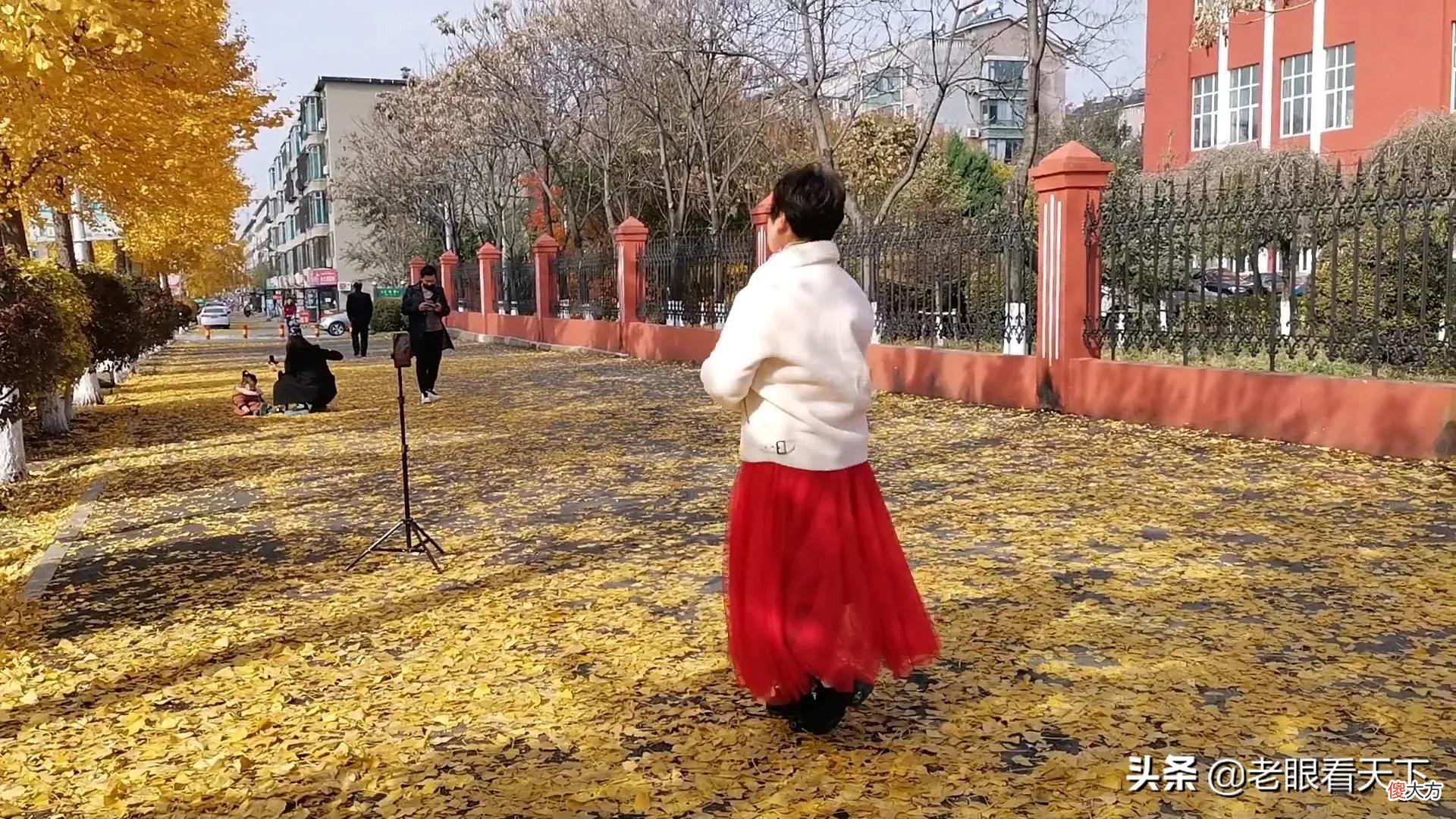 美丽的银杏树 美丽的银杏树作文