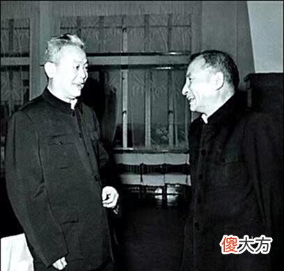 【历史故事】徐向前与李先念相交60年, 临终留下三条遗言, 李先念: 我也一样