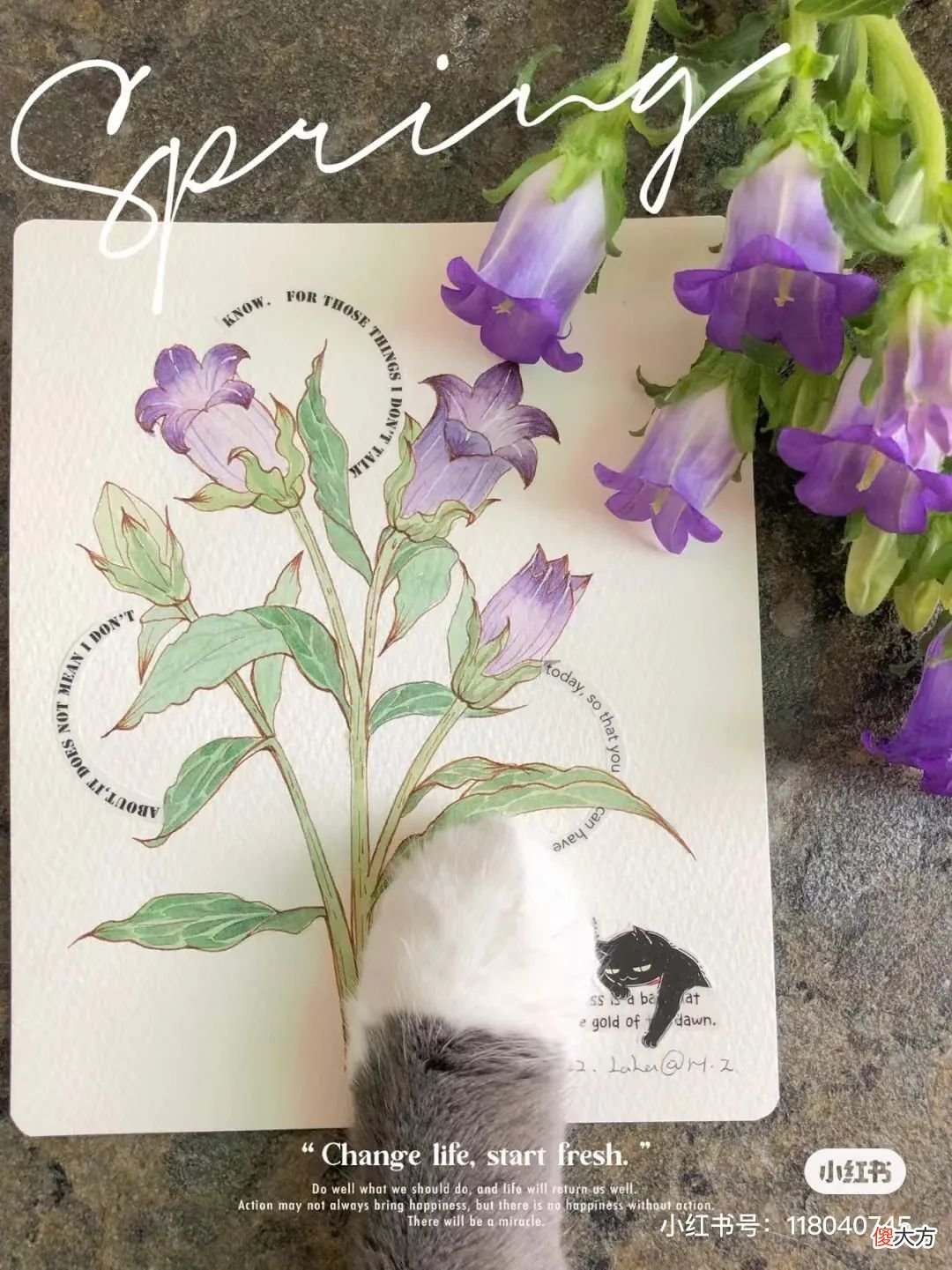 画出绚丽唯美的钢笔淡彩 如何画钢笔淡彩