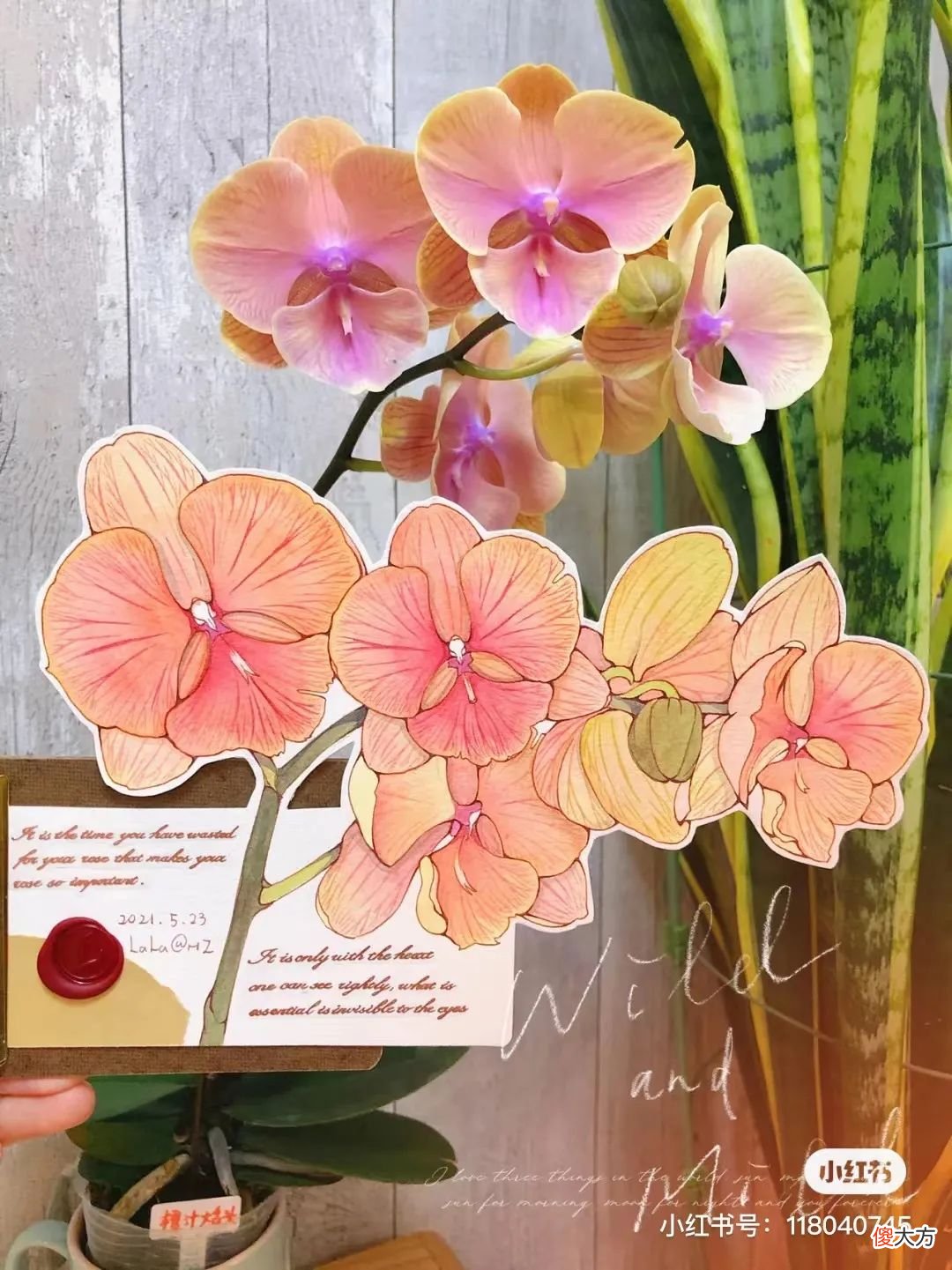 画出绚丽唯美的钢笔淡彩 如何画钢笔淡彩