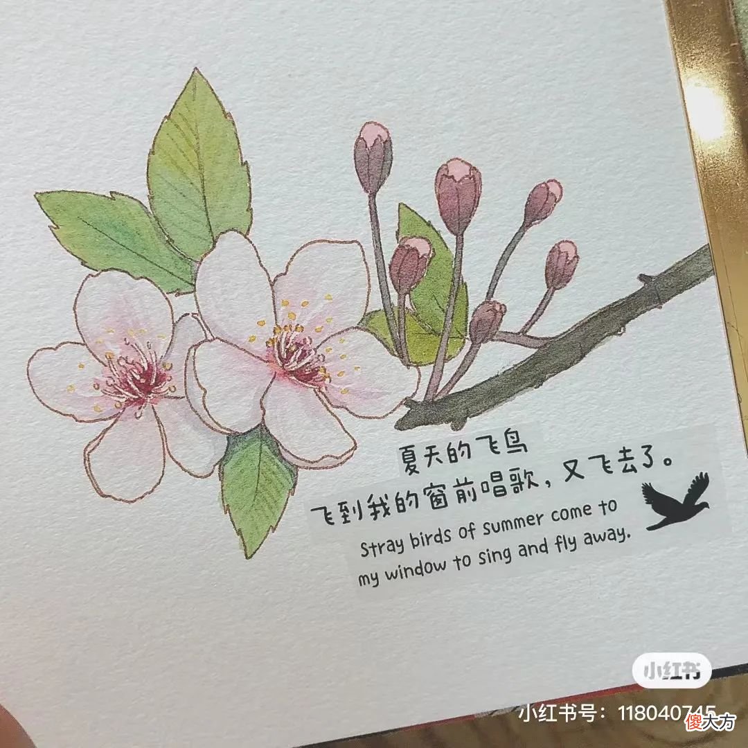 画出绚丽唯美的钢笔淡彩 如何画钢笔淡彩