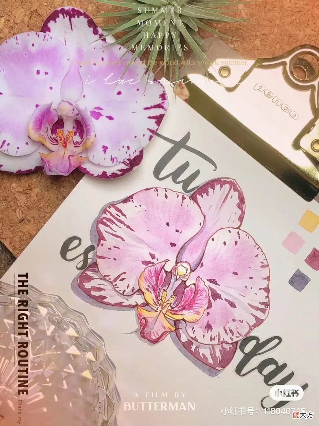 画出绚丽唯美的钢笔淡彩 如何画钢笔淡彩