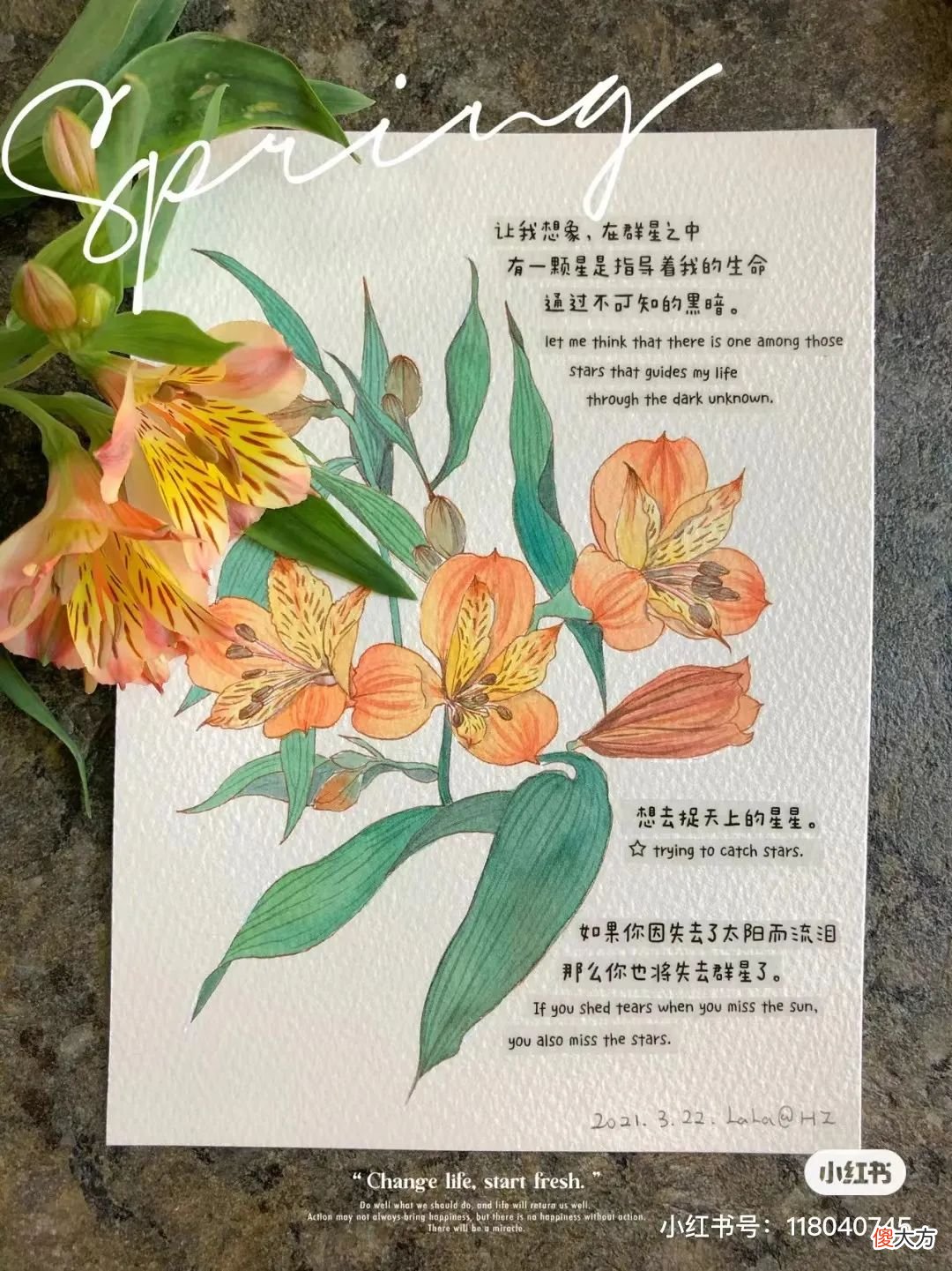 画出绚丽唯美的钢笔淡彩 如何画钢笔淡彩