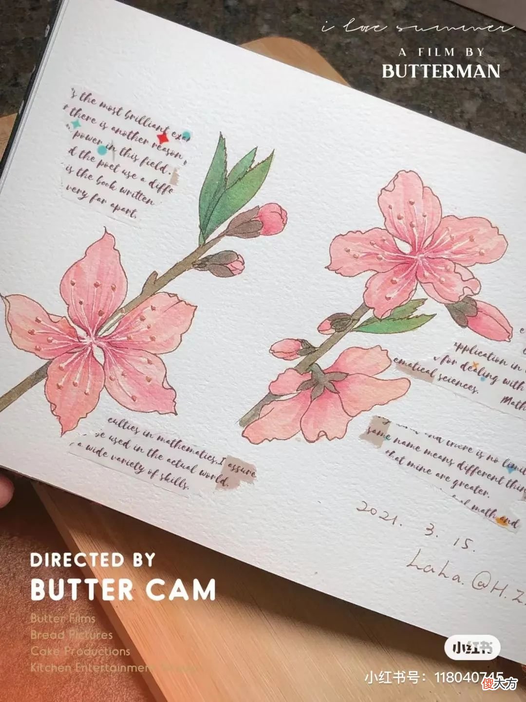 画出绚丽唯美的钢笔淡彩 如何画钢笔淡彩