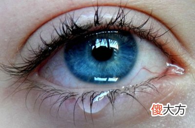 识人三十六术之一-眼睛