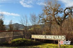 如何从外观判断葡萄酒的好坏 怎样辨别葡萄酒的品质