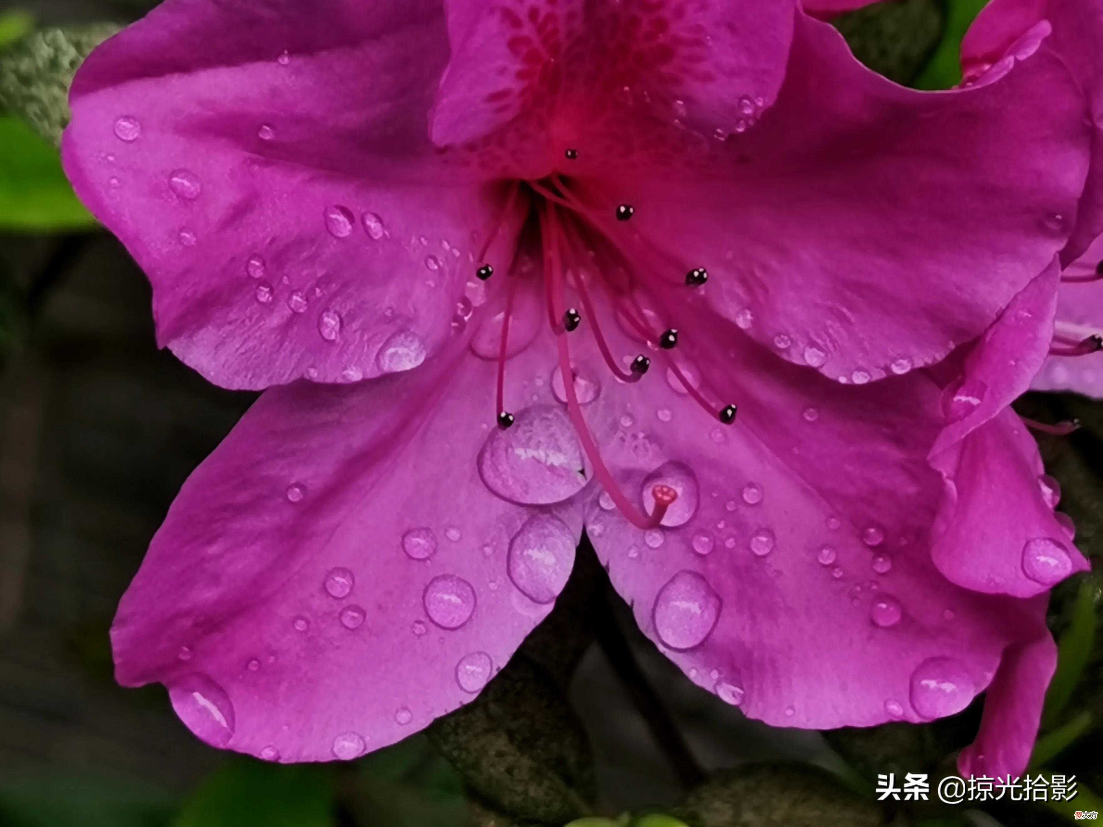 手机拍出好图片 手机拍出好照片
