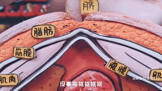 肚脐眼儿为啥形状不一样 肚脐眼为什么形状不一样