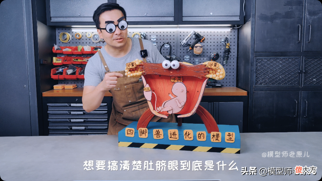肚脐眼儿为啥形状不一样 肚脐眼为什么形状不一样