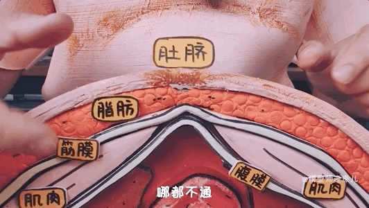 肚脐眼儿为啥形状不一样 肚脐眼为什么形状不一样