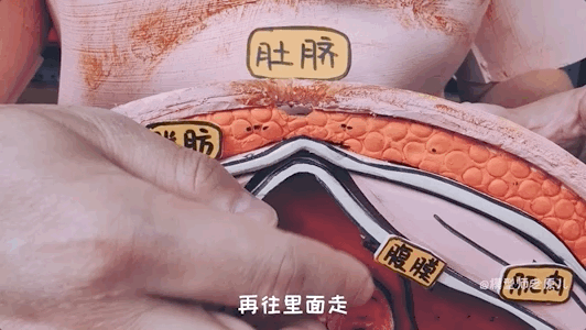肚脐眼儿为啥形状不一样 肚脐眼为什么形状不一样