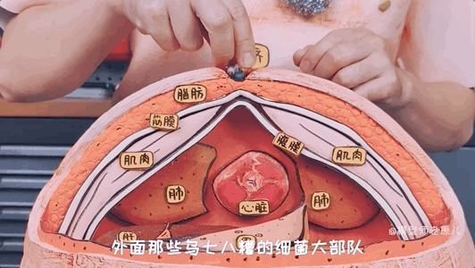 肚脐眼儿为啥形状不一样 肚脐眼为什么形状不一样