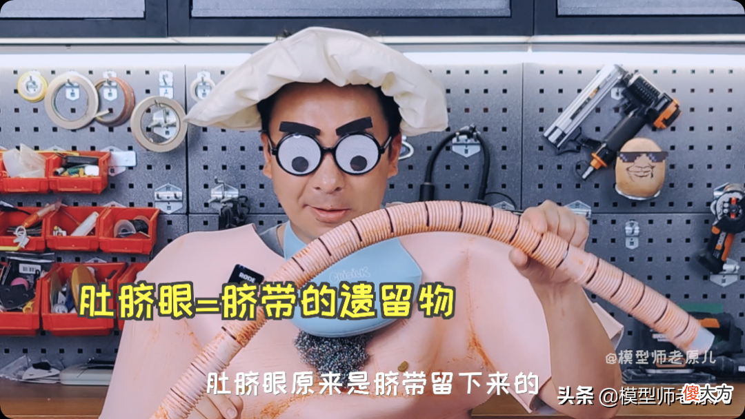 肚脐眼儿为啥形状不一样 肚脐眼为什么形状不一样