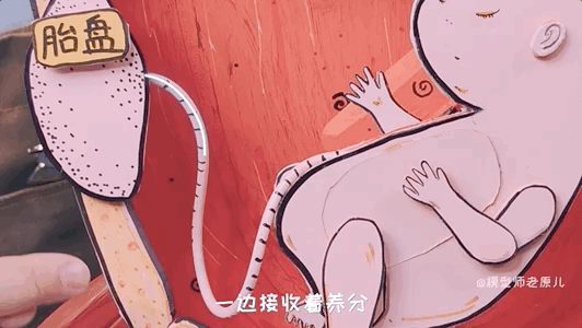 肚脐眼儿为啥形状不一样 肚脐眼为什么形状不一样