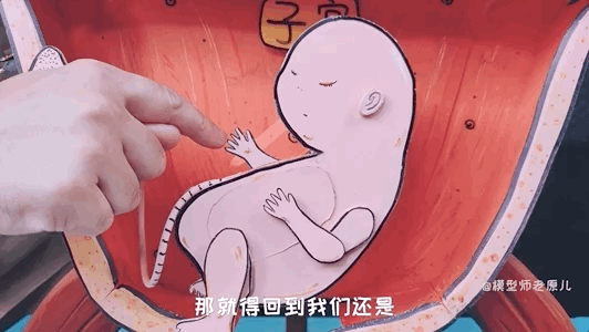肚脐眼儿为啥形状不一样 肚脐眼为什么形状不一样