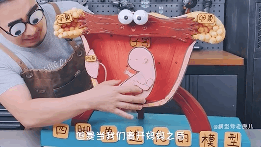 肚脐眼儿为啥形状不一样 肚脐眼为什么形状不一样