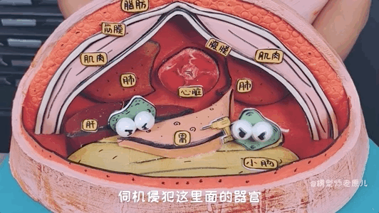 肚脐眼儿为啥形状不一样 肚脐眼为什么形状不一样