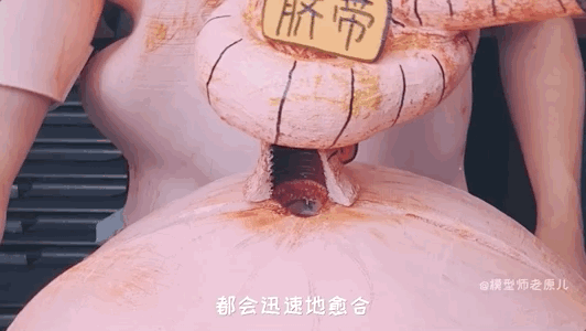 肚脐眼儿为啥形状不一样 肚脐眼为什么形状不一样