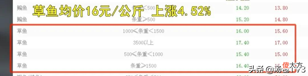 淡水鱼为啥变贵了 为什么海鱼贵过淡水鱼