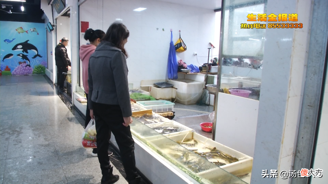 淡水鱼为啥变贵了 为什么海鱼贵过淡水鱼