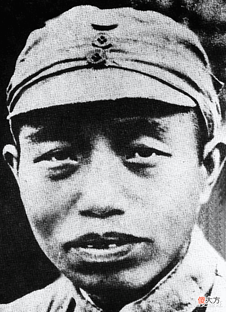 【历史故事】谭老萧克王震, 在1955年与大将军衔失之交臂, 谁最惋惜