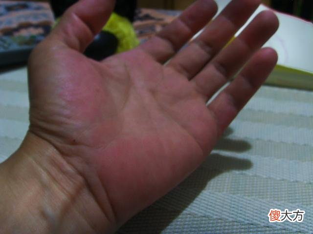 手相中拥有朱砂掌的人，一生财运兴旺，富贵傲人