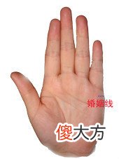 男左女右,教你手相看命,很准!