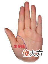 男左女右,教你手相看命,很准!