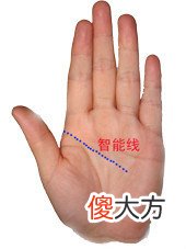 男左女右,教你手相看命,很准!
