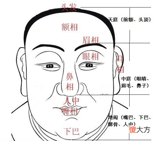 天庭饱满地阁方圆命好不好