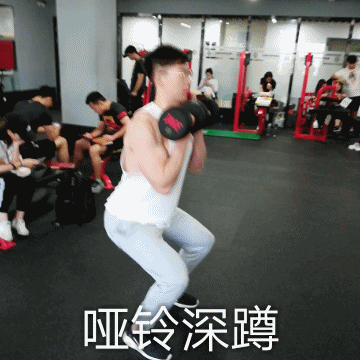 一组适合新手的哑铃动图 哑铃动作图