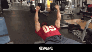 一组适合新手的哑铃动图 哑铃动作图