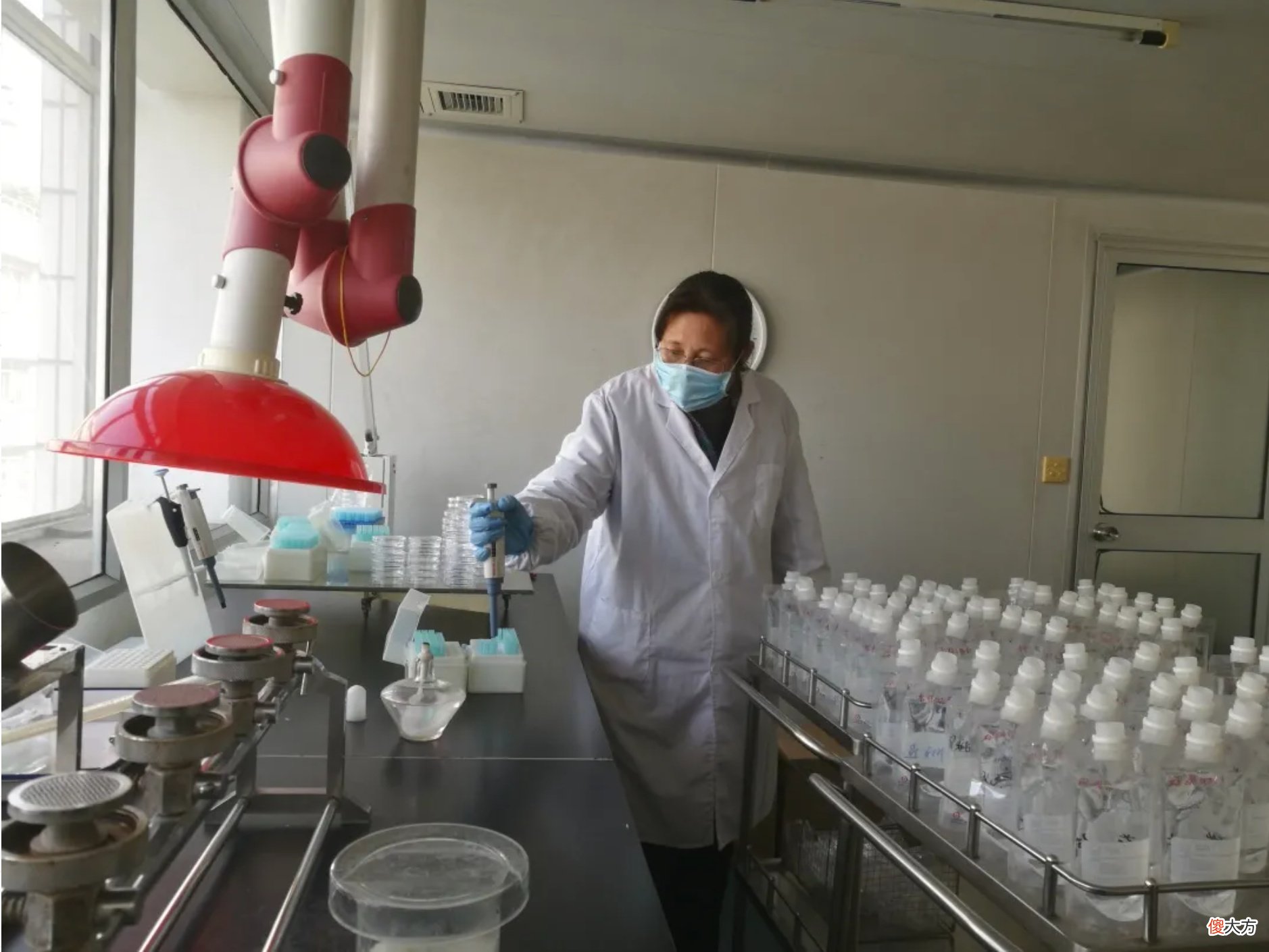水质好坏不能简... 水质不好有什么办法