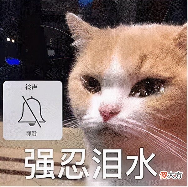 50款可爱便宜的手机壳 最可爱的手机壳