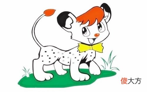 属狗人运气最好的年份