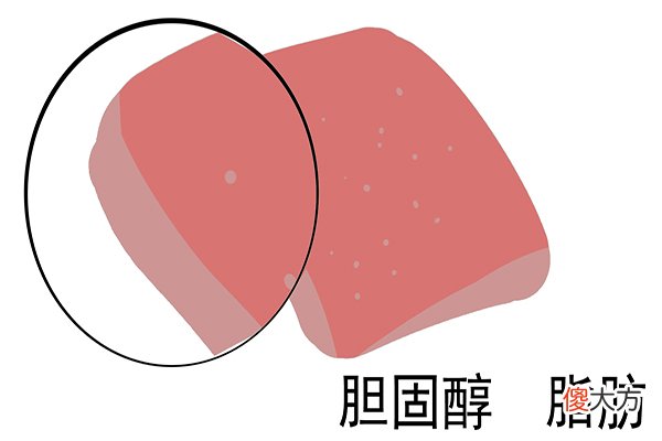 早上吃鸡蛋营养好 早上鸡蛋怎么吃最有营养