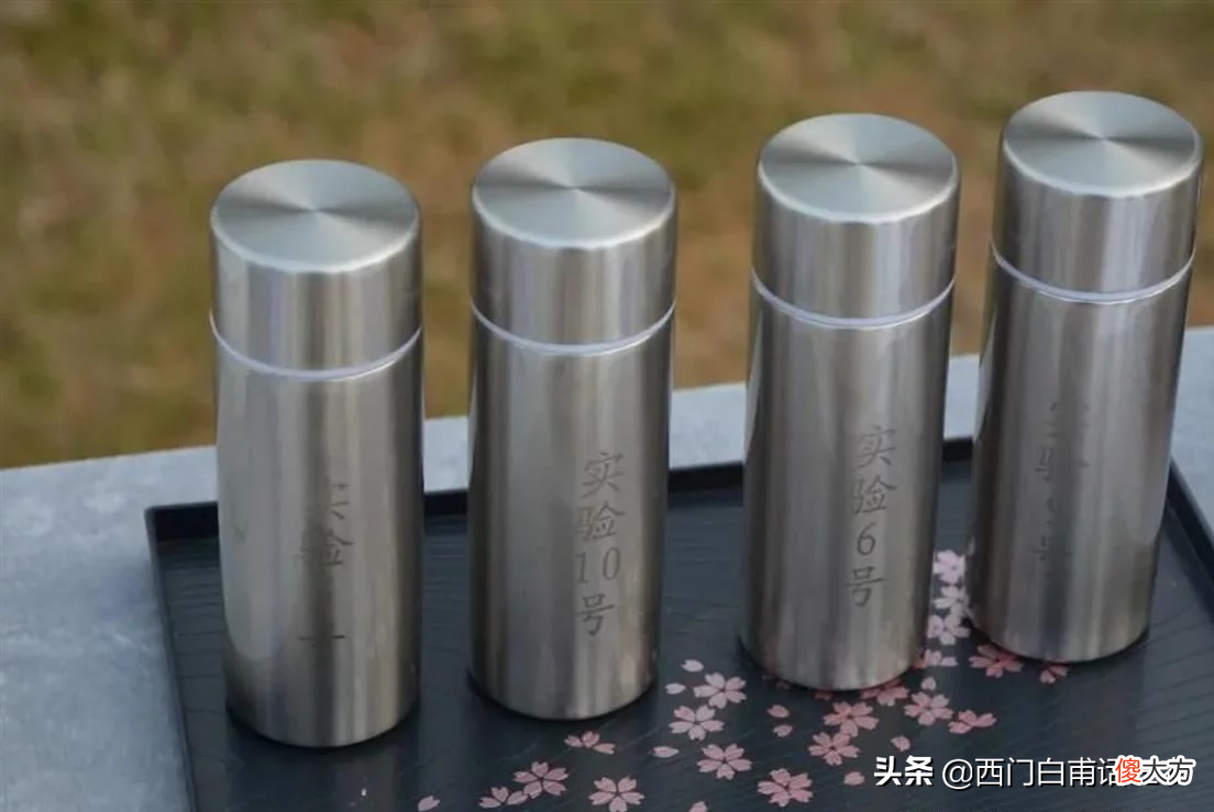 你同意这种殡葬方式吗 最新殡葬方式出炉你能接受吗
