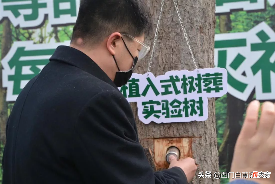 你同意这种殡葬方式吗 最新殡葬方式出炉你能接受吗