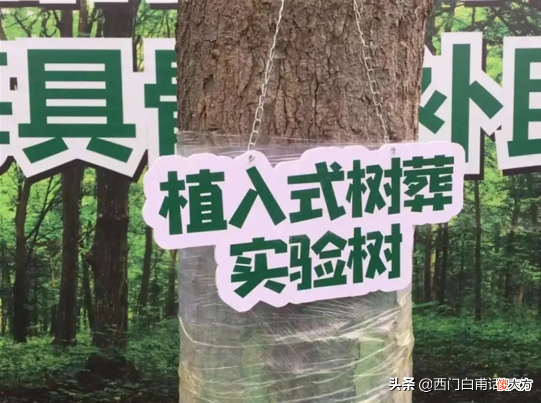 你同意这种殡葬方式吗 最新殡葬方式出炉你能接受吗