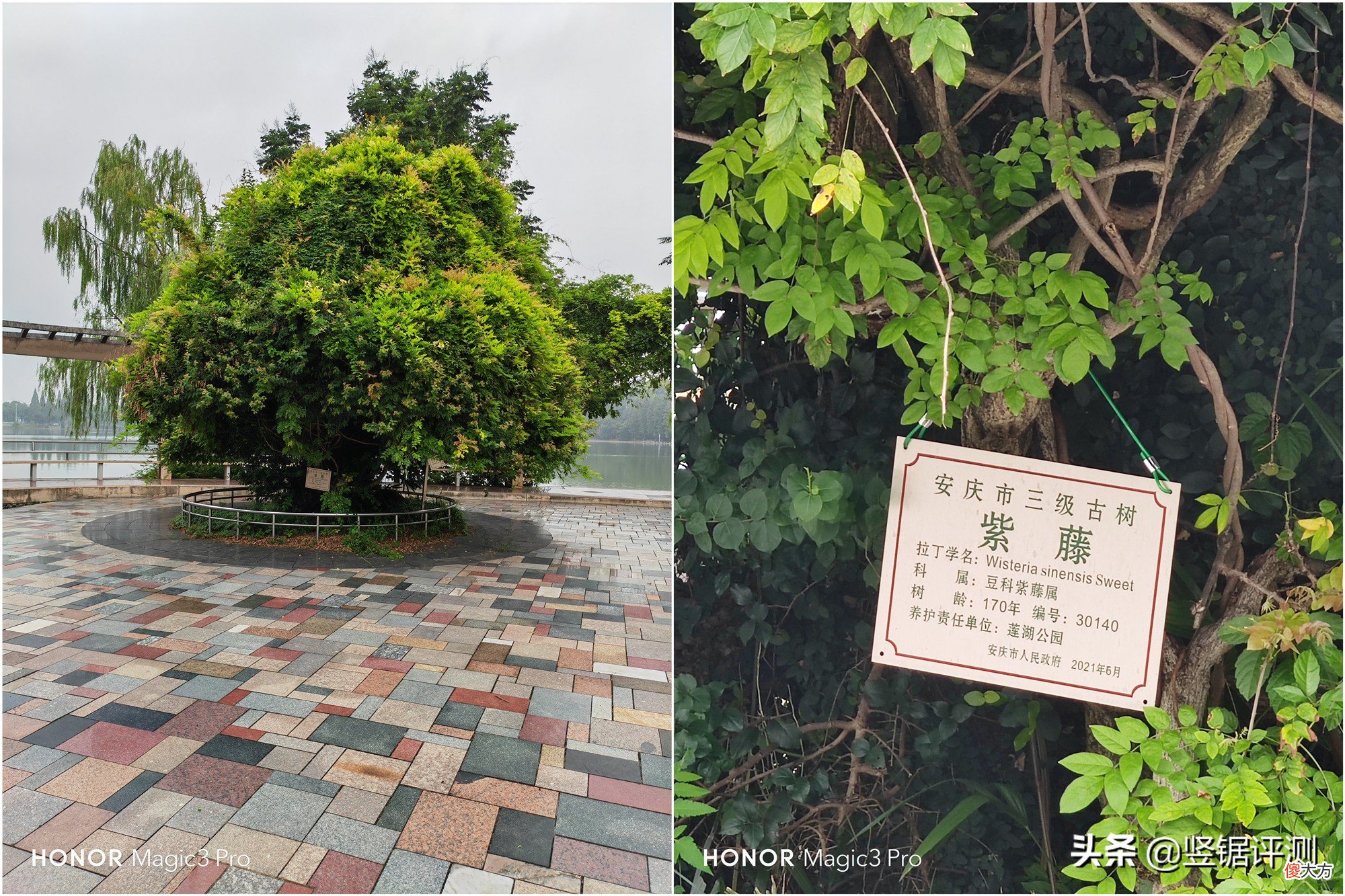 高画质下玩游戏 高画质的游戏