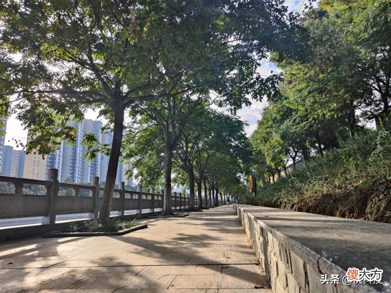 一加9RT评测 一加9rt评测视频小泽
