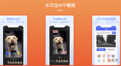 多家公司提供视频去水印服务，被快手起诉侵权！均被判赔偿