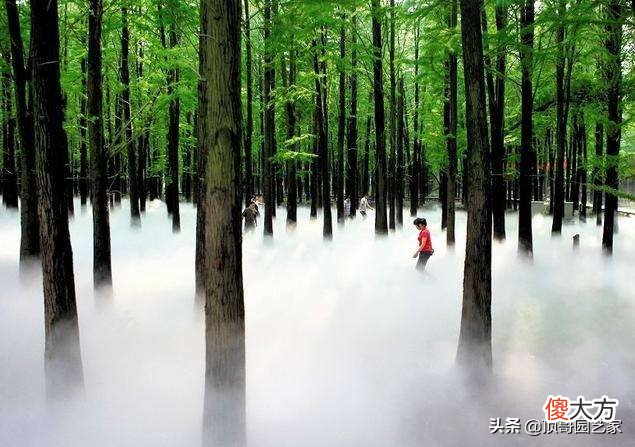 庭院可以做喷雾吗 庭院喷雾器