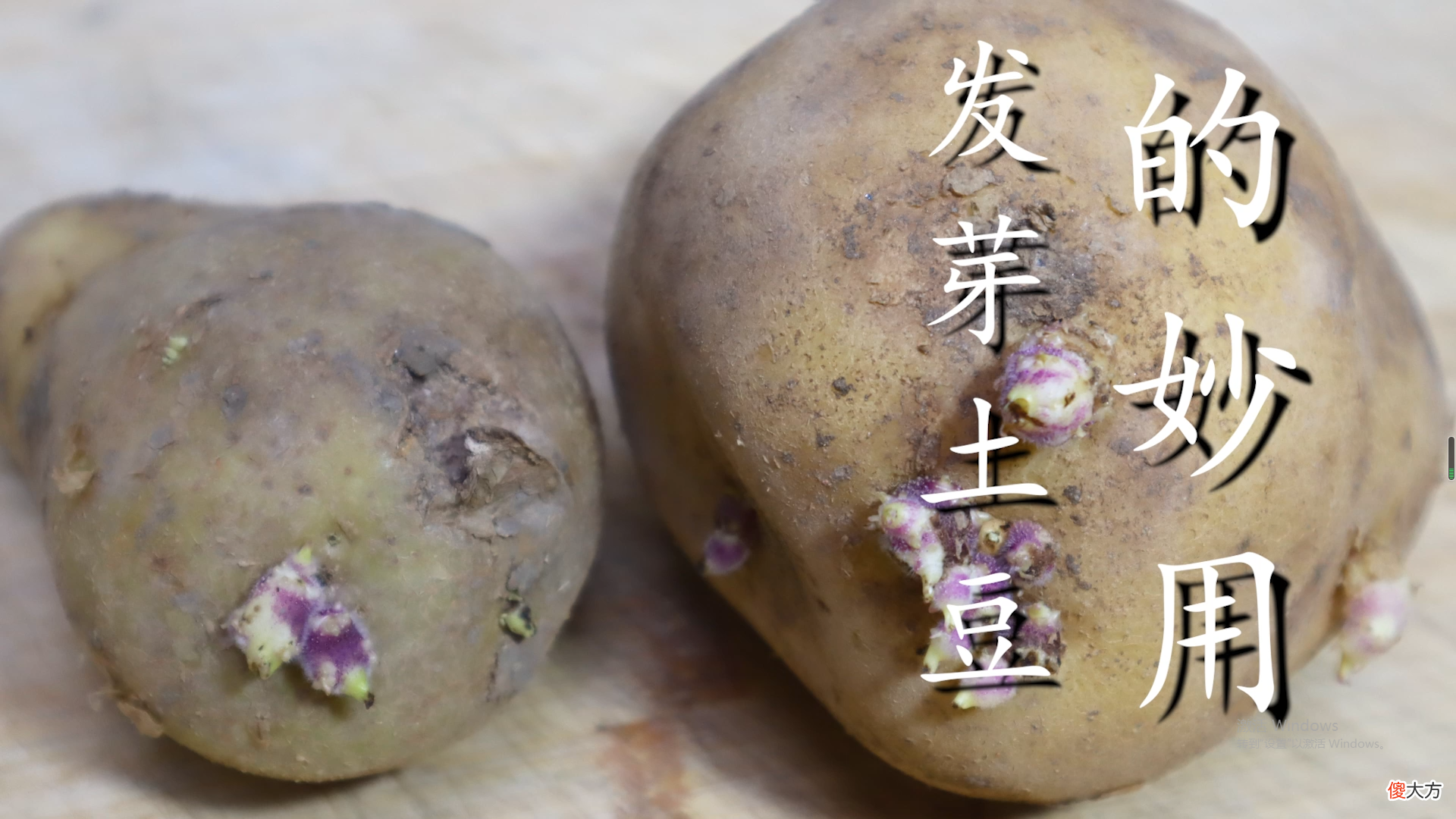发芽土豆别扔掉了 发芽土豆不要扔