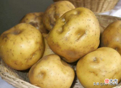 土豆发芽是吃掉还是丢掉 土豆发芽只能丢掉吗