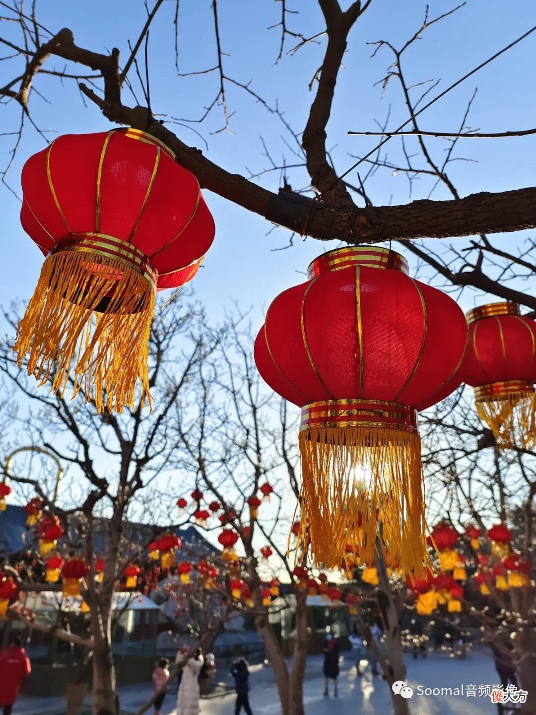 2021拍摄表现最好的三款手机 2021年手机拍照排行